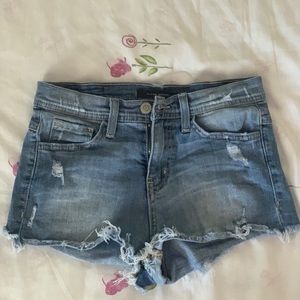 Flying Monkey Frayed Edge Shorts - Size 25